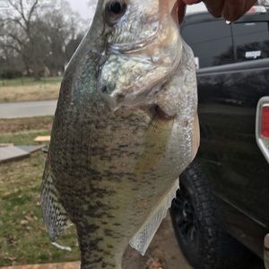 Meet your Posher, Colton